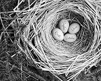 Algopix Similar Product 1 - Mother's Nest Personalized Print