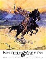 Algopix Similar Product 14 - Desperate Enterprises Tin Signs SW