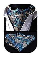 Algopix Similar Product 8 - HISDERN Cravat Ascot Ties for Men