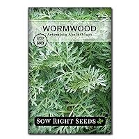 Algopix Similar Product 12 - Sow Right Seeds  Wormwood Seeds for