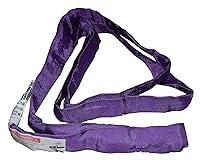 Algopix Similar Product 13 - SLine 20ENR1X4 Lifting Sling 1Inch